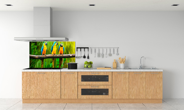 Panel antisalpicaduras Loros en una rama