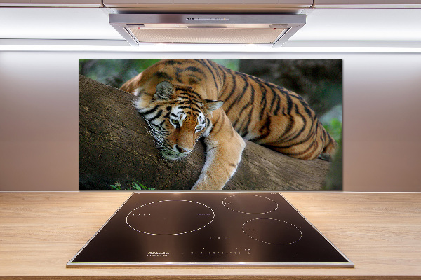Panel para cocina Tigre en un árbol
