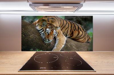 Panel para cocina Tigre en un árbol