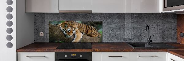 Panel para cocina Tigre en un árbol