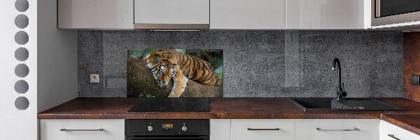 Panel para cocina Tigre en un árbol