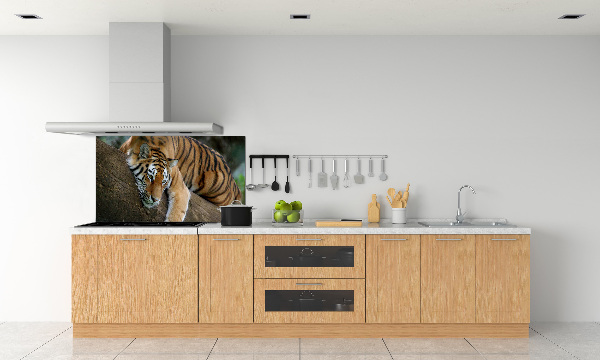 Panel para cocina Tigre en un árbol