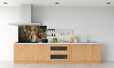 Panel para cocina Tigre en un árbol