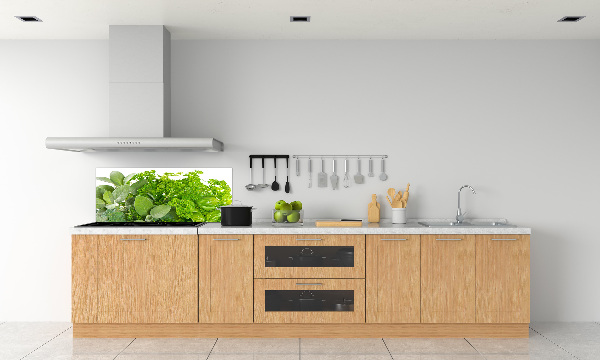 Panel de pared de cocina Hierbas