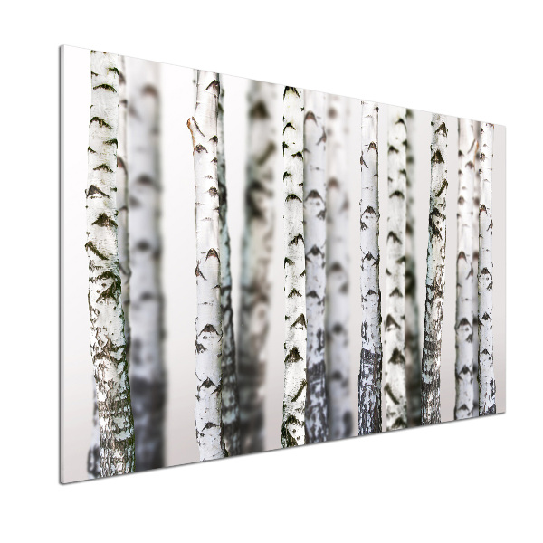 Panel para cocina troncos de abedul