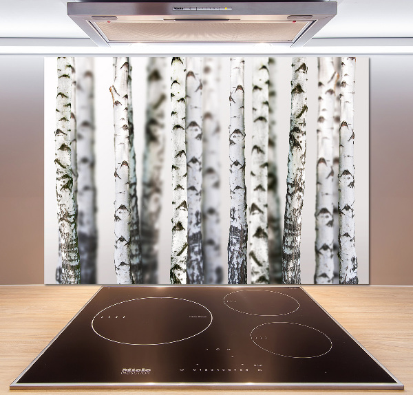 Panel para cocina troncos de abedul