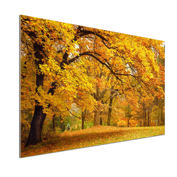 Panel do kuchni Jesień w parku