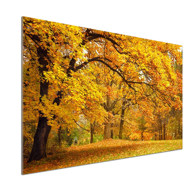 Panel de pared de cocina Otoño en el parque