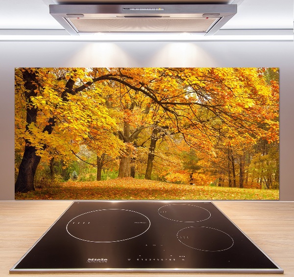 Panel de pared de cocina Otoño en el parque