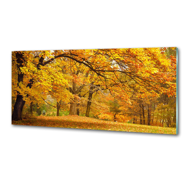 Panel de pared de cocina Otoño en el parque