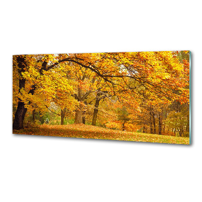 Panel de pared de cocina Otoño en el parque