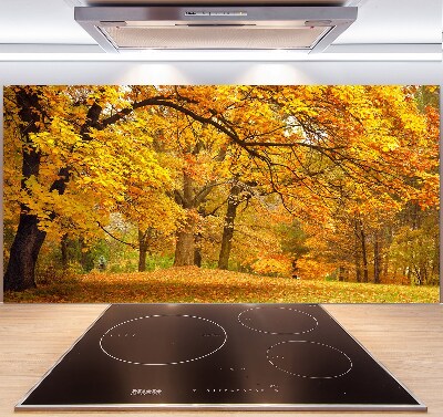 Panel de pared de cocina Otoño en el parque