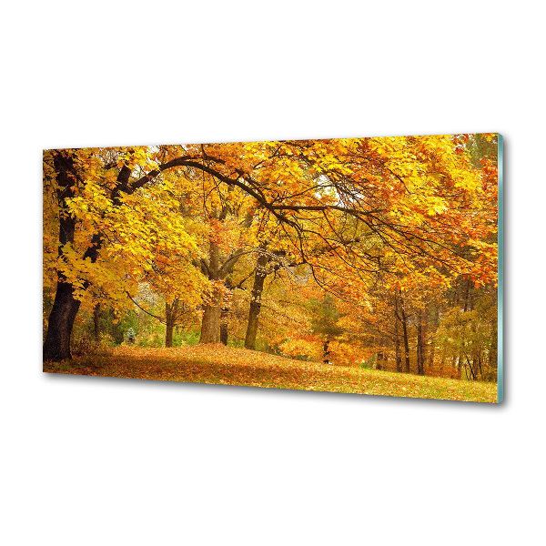 Panel de pared de cocina Otoño en el parque