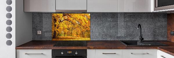 Panel de pared de cocina Otoño en el parque