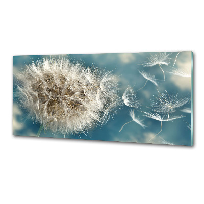 Panel między meble w kuchni Dmuchawce