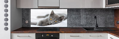 Panel de pared de cocina gato gris