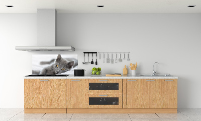 Panel de pared de cocina gato gris