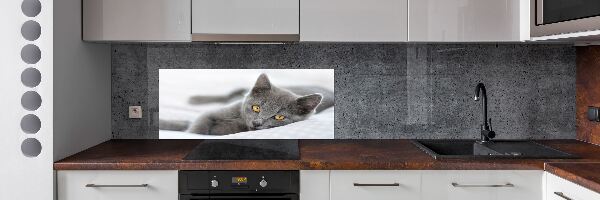 Panel de pared de cocina gato gris