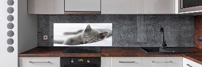 Panel de pared de cocina gato gris