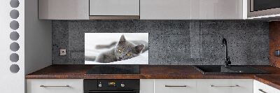 Panel de pared de cocina gato gris