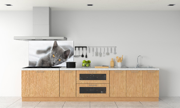 Panel de pared de cocina gato gris