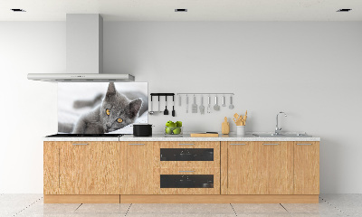 Panel de pared de cocina gato gris