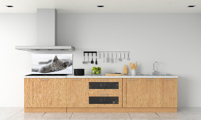 Panel de pared de cocina gato gris