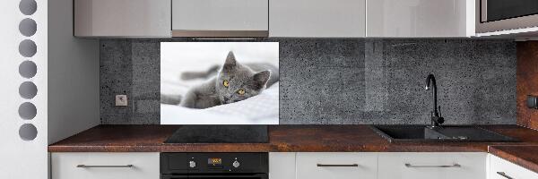 Panel de pared de cocina gato gris