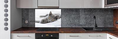 Panel de pared de cocina gato gris