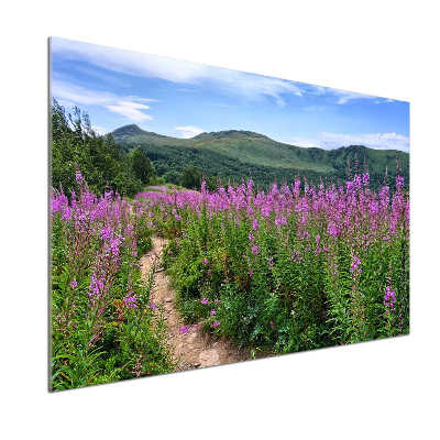 Panel antisalpicaduras Colinas verdes