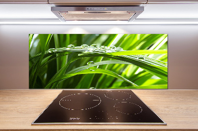 Panel do kuchni Krople na trawie