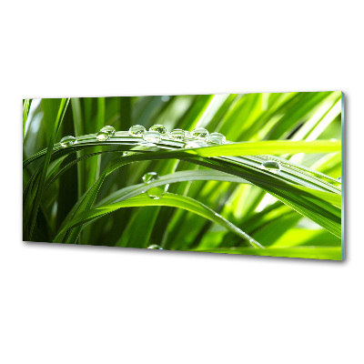 Panel antisalpicaduras Gotas sobre la hierba
