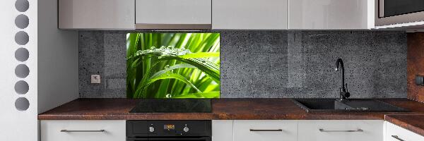 Panel antisalpicaduras Gotas sobre la hierba