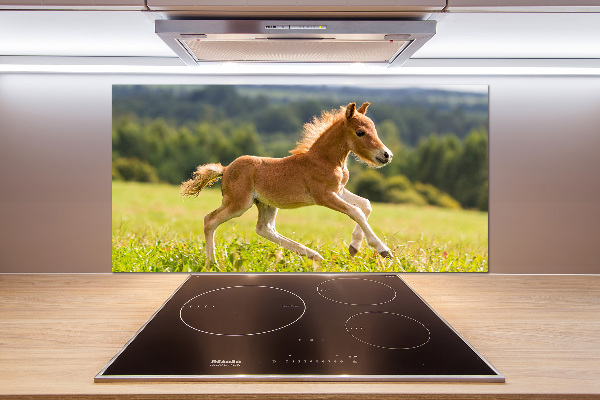 Panel antisalpicaduras Un potro galopando