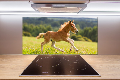 Panel do kuchni Źrebię w galopie