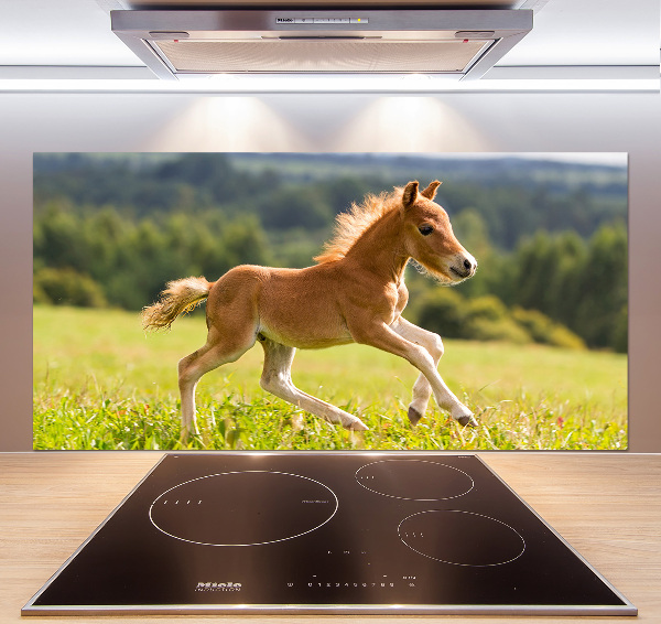 Panel antisalpicaduras Un potro galopando