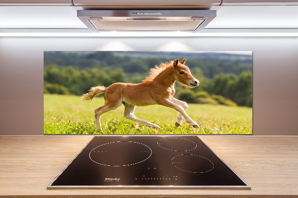 Panel do kuchni Źrebię w galopie