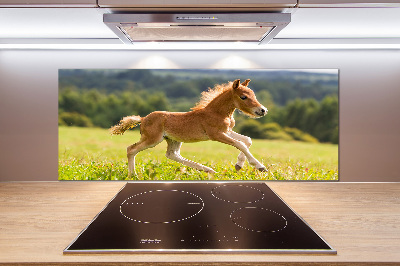 Panel antisalpicaduras Un potro galopando