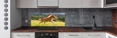 Panel antisalpicaduras Un potro galopando