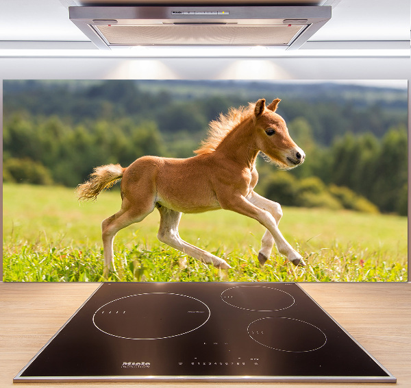 Panel antisalpicaduras Un potro galopando