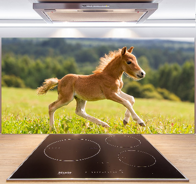 Panel antisalpicaduras Un potro galopando