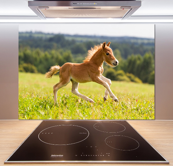 Panel do kuchni Źrebię w galopie