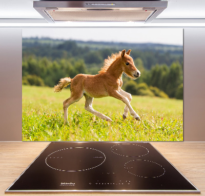 Panel antisalpicaduras Un potro galopando