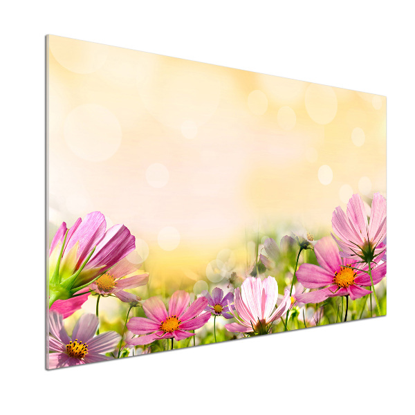 Panel para cocina Amapolas