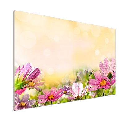 Panel para cocina Amapolas