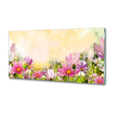 Panel para cocina Amapolas