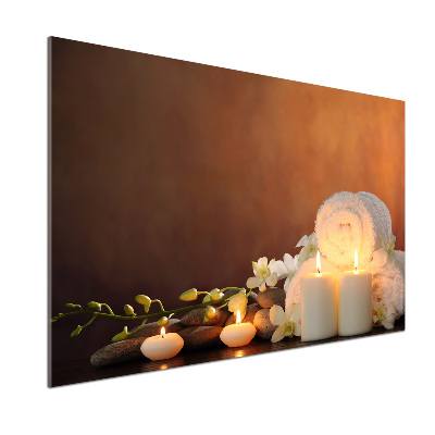 Panel para cocina Regeneración biológica