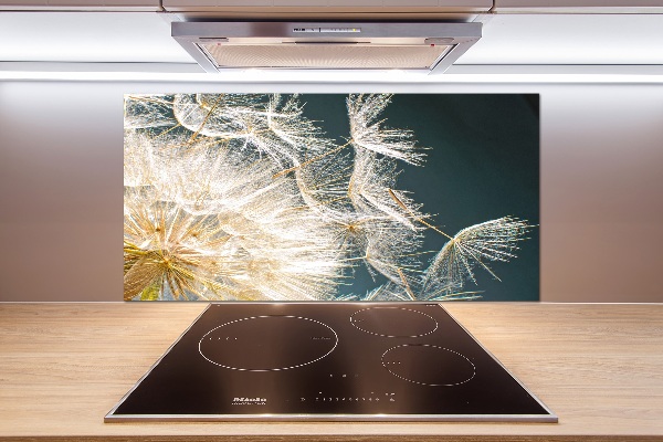 Salpicadero para cocina semillas de diente de león