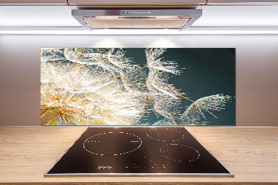 Salpicadero para cocina semillas de diente de león