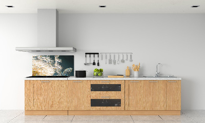 Salpicadero para cocina semillas de diente de león